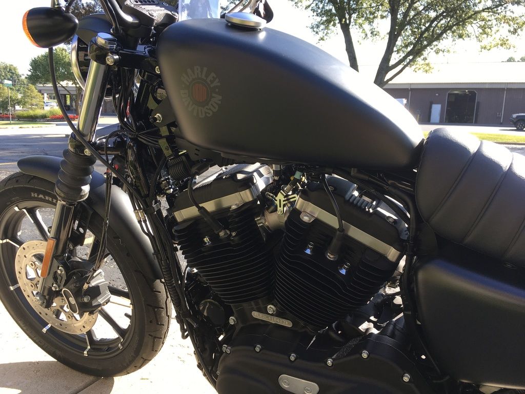 2020 XL883N - Sportster Iron 883  U418403 - Click for larger photo