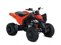 Can-Am DS 250 2024 2488582300