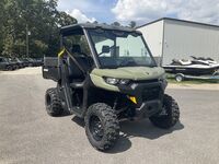 Can-Am Defender DPS HD10 2020 2568316495