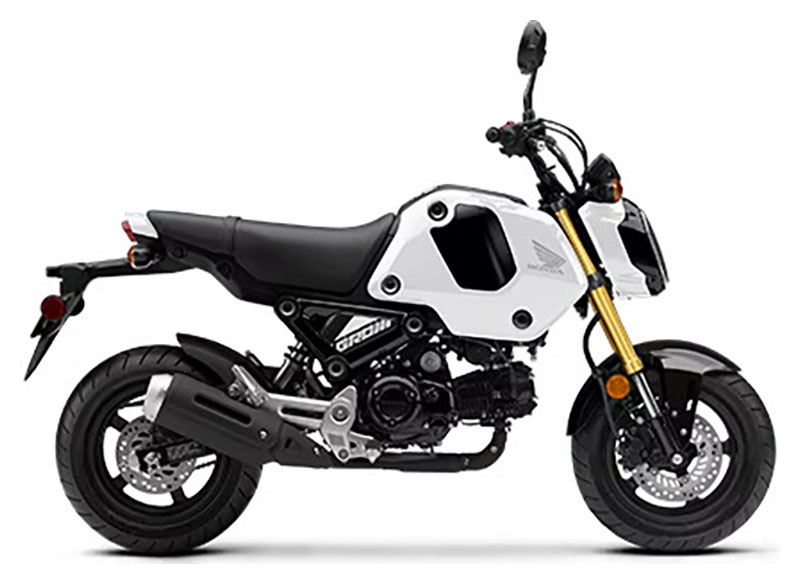 2024 Grom Grom H04883 - Click for larger photo