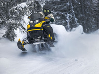 Ski-Doo Backcountry Adrenaline 600R E-TEC ES Cob 2024 3158346500