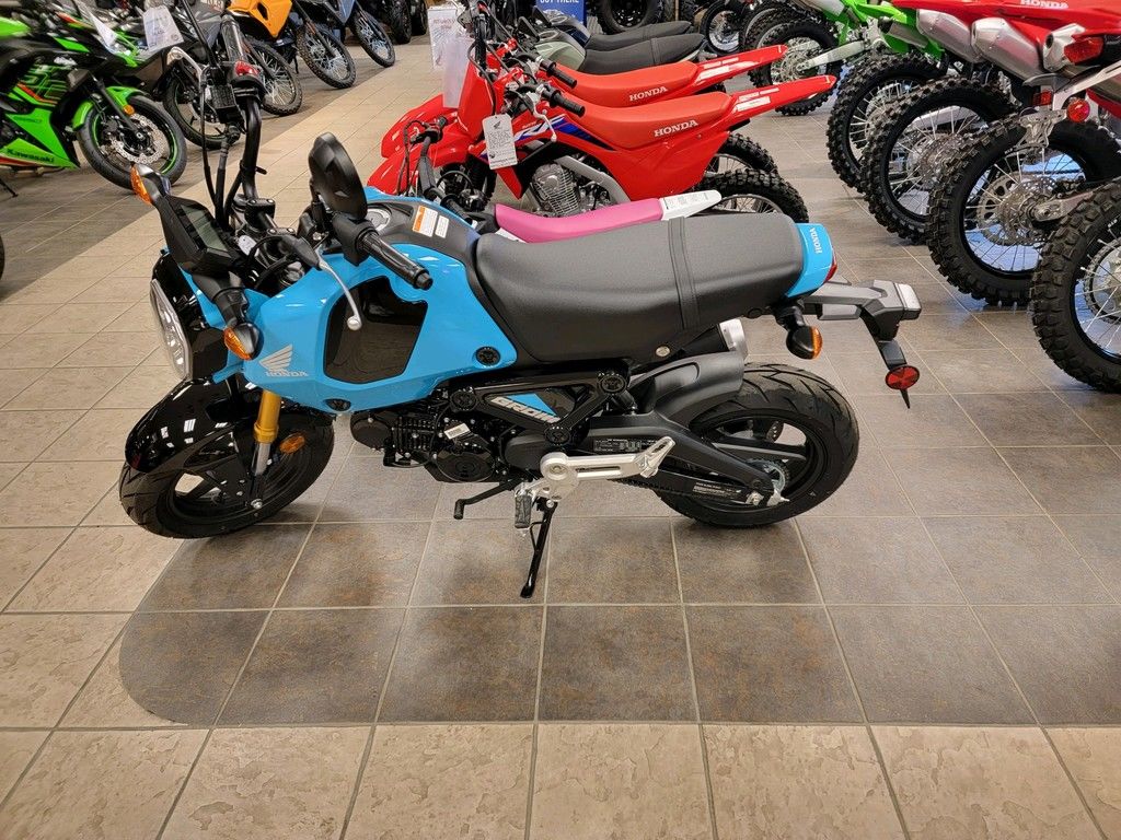 2024 Grom  MLHJC9217R - Click for larger photo