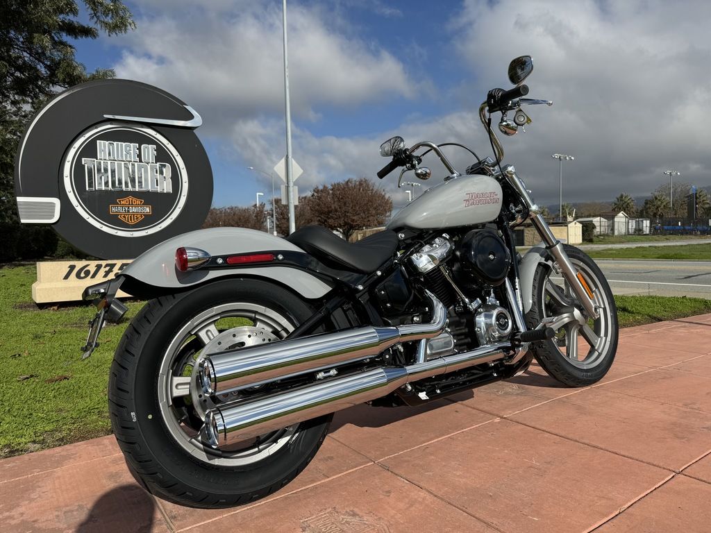 2024 FXST - Softail Standard  N019155 - Click for larger photo