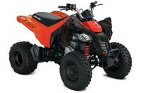Can-Am DS 250 2024 4106638556