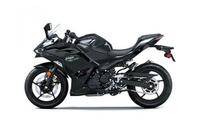 Kawasaki Ninja®  500 2024 4809823363