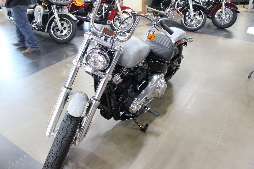2024 FXST - Softail Standard  142898 - Click for larger photo
