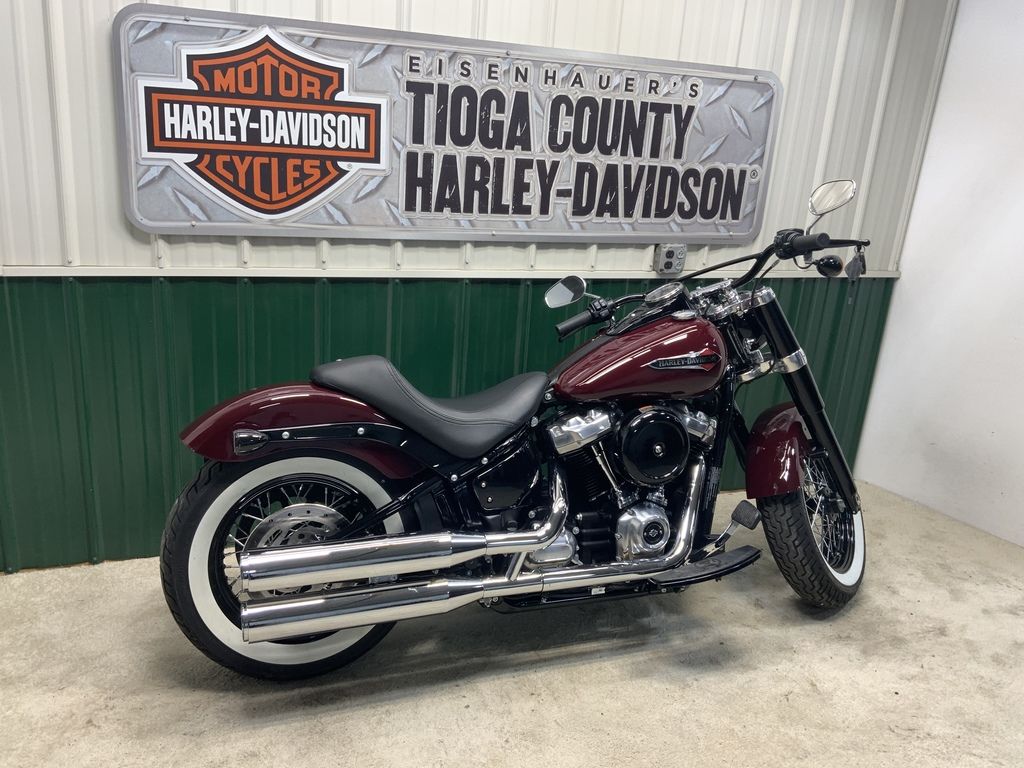 2020 FLSL - Softail Softail Slim  064795 - Click for larger photo
