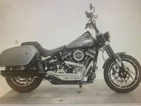 Harley-Davidson Sport Glide® Custom Color 2021 6038890161