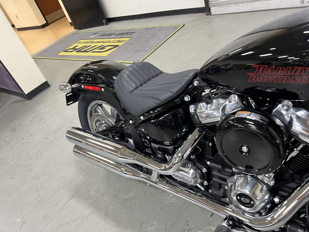 2024 FXST - Softail Standard  022244 - Click for larger photo