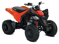Can-Am DS 250 2024 7014833412