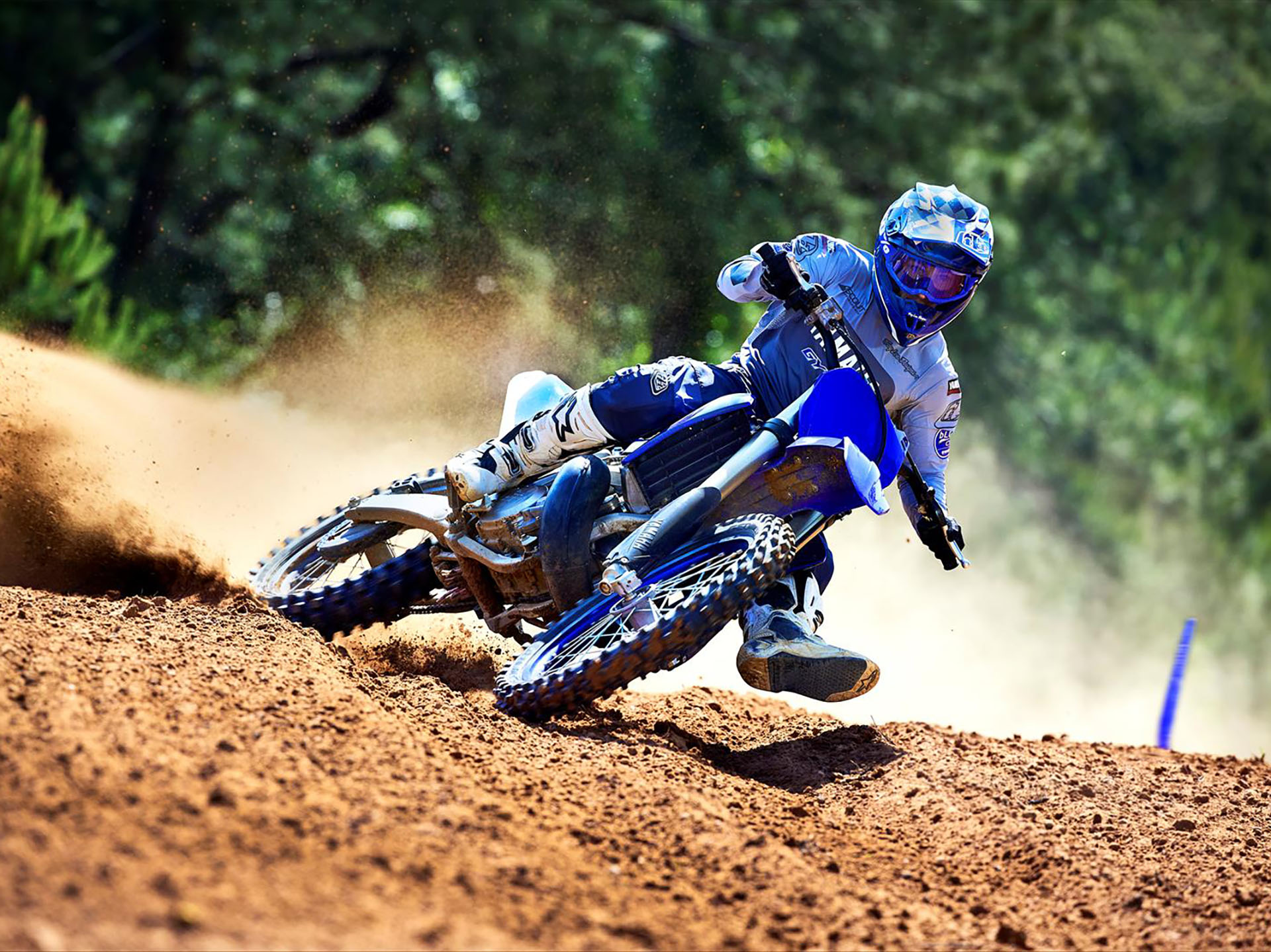 2023 YZ250 YZ250 N/A - Click for larger photo