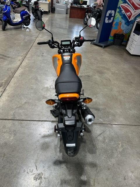 2024 Grom Grom N/A - Click for larger photo