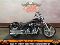 Harley-Davidson Softail&#174; Standard 2024 7248379404
