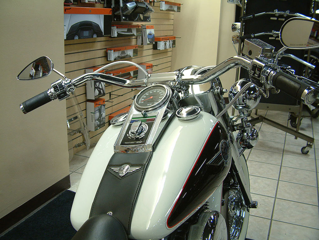 1993 FLSTN - Softail Deluxe  J255 - Click for larger photo