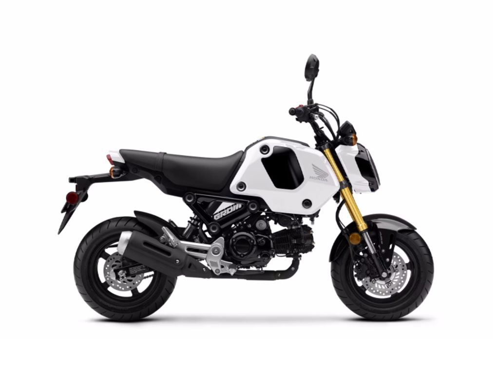 2024 Grom  5204914 - Click for larger photo