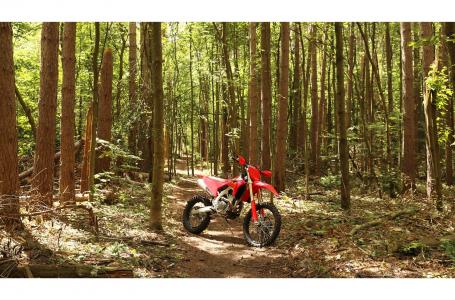 2024 CRF250RX CRF250RX HD500024 - Click for larger photo