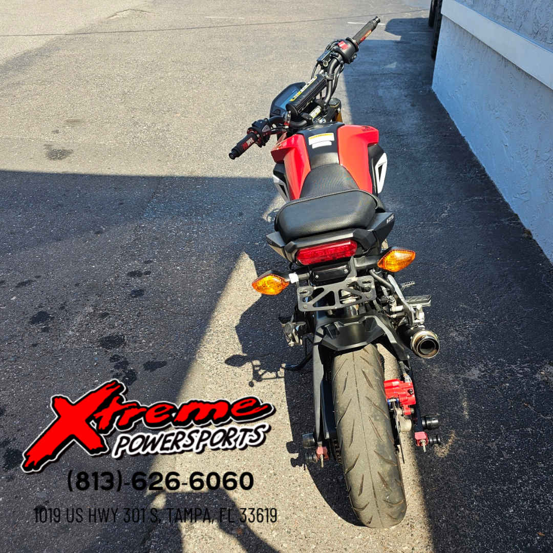 2020 Grom Grom 208066 - Click for larger photo