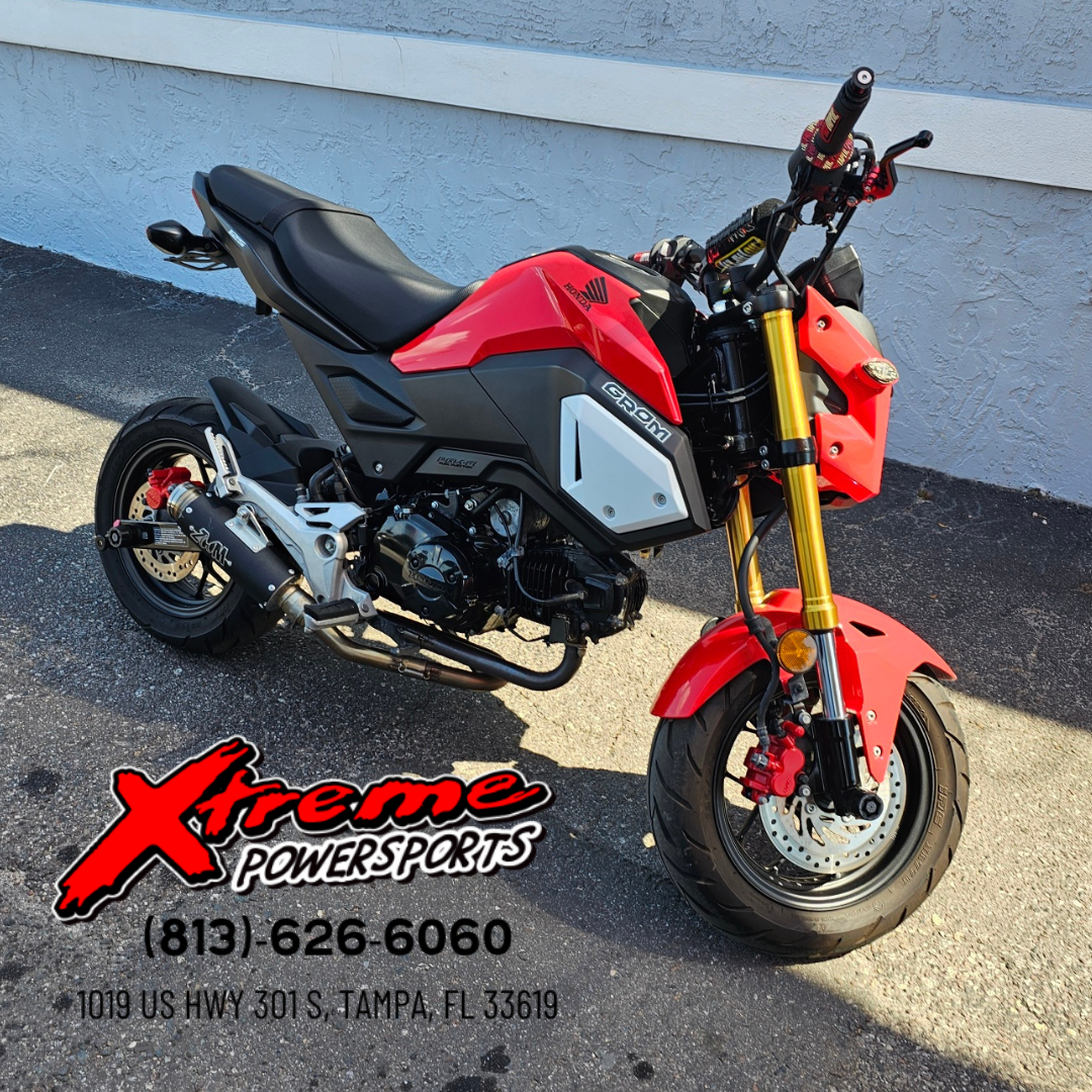 2020 Grom Grom 208066 - Click for larger photo