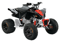 Can-Am DS 90 X 2021 8146840956