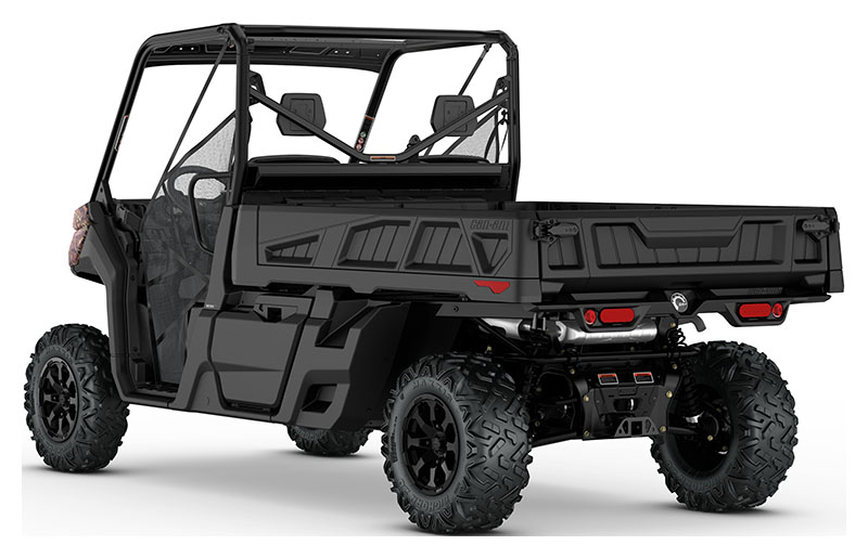 2020 Defender Pro DPS HD10 Defender Pro DPS HD10 CAN000955 - Click for larger photo