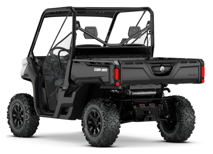 2020 Defender DPS HD10 Defender DPS HD10 CAN000540 - Click for larger photo
