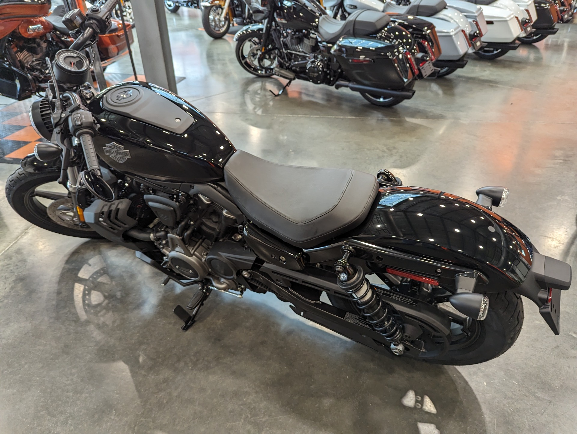 2024 Nightster&#174; Special Nightster&#174; Special 305702 - Click for larger photo